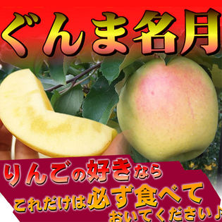 予約受付 幻のグルメリンゴ ぐんま名月 群馬 3kgを税込 送料込でお試し サンプル百貨店 食卓の花