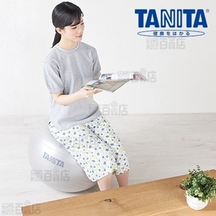 Tanita タニタ タニタサイズ ジムボール シルバー Ts 962を税込 送料込でお試し サンプル百貨店 Tanita タニタ