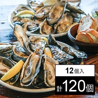 【10袋】 兵庫県産超高圧冷凍殻付き牡蠣 2S 12個入