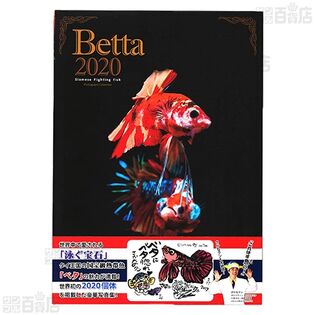 ベタ2020 サイアミーズ ファイティングフィッシュ フォトグラフ コレクション 1200g