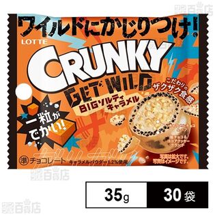 GETWILDクランキーポップジョイ＜BIGソルティーキャラメル＞ 35g