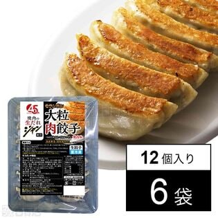 ジャン 焼肉の生だれ 配合 大粒肉餃子 336g(12個入)