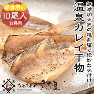 冷凍便 温泉がれい一塩干し10尾セット新鮮な越前カレイの中骨を取って開きました越前産かれいを税込 送料込でお試し サンプル百貨店 美味食卓さくだ屋