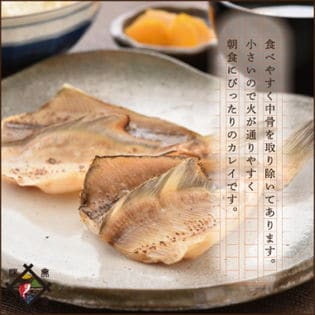 冷凍便 温泉がれい一塩干し10尾セット新鮮な越前カレイの中骨を取って開きました越前産かれいを税込 送料込でお試し サンプル百貨店 美味食卓さくだ屋