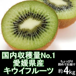 【約4kg(40個前後)】 愛媛県産 キウイフルーツ(ご自宅用、傷あり)