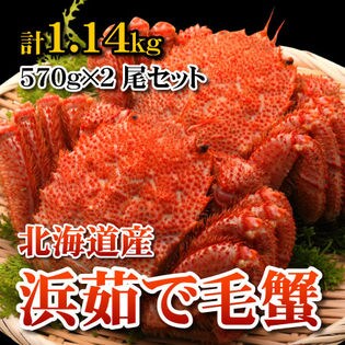 計1.14kg【大570g×2尾セット】カニなら浜茹で毛蟹を税込・送料込でお試し｜サンプル百貨店 | さっぽろ朝市 高水