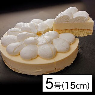 5号サイズ 直径15cm クリーミーにとろけるローカーボレアチーズケーキを税込 送料込でお試し サンプル百貨店 ビー ドット ラボ