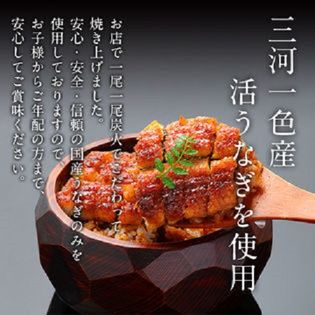 170g前後×2本セット】特大 三河一色産 炭火焼き活うなぎ 蒲焼きを税込