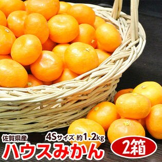 合計2 4キロ 約1 2キロ 2箱 佐賀県産ハウスみかん 超小玉 4s を税込 送料込でお試し サンプル百貨店 豊洲市場ドットコム