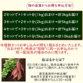 予約受付】11/15∼順次配送【1セット1kg】紅はるか 薩摩のはるか姫を