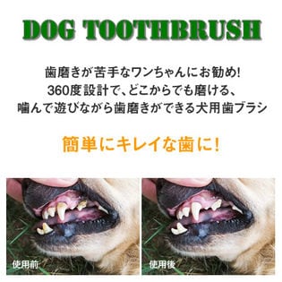 犬用歯ブラシ 中型犬用を税込 送料込でお試し サンプル百貨店 株式会社グループストア