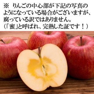 5kg(13~24玉)】りんご 食べ比べ 全13品種 (品種おまかせ・ご家庭用