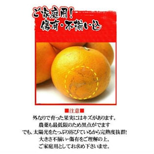 約5kg】愛媛県産 ぽんかん(ご家庭用・傷あり)を税込・送料込でお試し