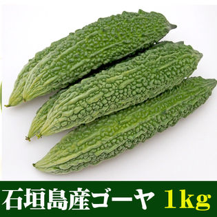 約1kg(2~7本)】石垣島産ゴーヤ （苦瓜） 規格外 家庭用を税込・送料込でお試し｜サンプル百貨店 | 果物と島野菜の店 石垣島農家隊