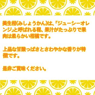 3 5kg 愛媛県産 美生柑 河内晩柑 を税込 送料込でお試し サンプル百貨店 株式会社九州沖縄特産館