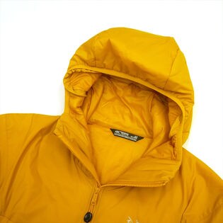 Lサイズ】[ARC'TERYX]メンズ マウンテンパーカー ATOM LT HOODY ...