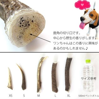 Xl 鹿の角 北海道 鹿角 犬のおもちゃ 犬のおやつ おもちゃ デンタルケア 口臭対策を税込 送料込でお試し サンプル百貨店 はっぴーdog 株式会社nexus