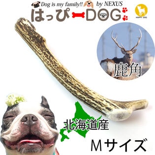 M 鹿の角 北海道 鹿角 犬のおもちゃ 犬のおやつ おもちゃ デンタルケア 口臭対策を税込 送料込でお試し サンプル百貨店 はっぴーdog 株式会社nexus