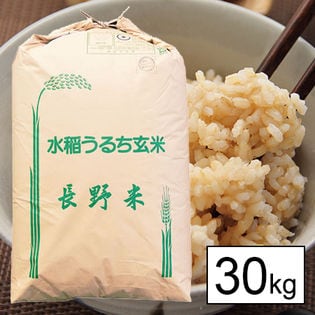 30kg】 令和2年産 長野県伊那産 コシヒカリ 1等 玄米 30kgを税込・送料