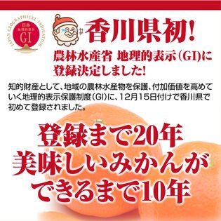 約2 5kg S 2l 香川県産 小原紅早生みかんを税込 送料込でお試し サンプル百貨店 サンタの贈り物