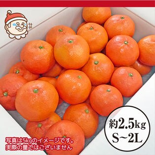 約2 5kg S 2l 香川県産 小原紅早生みかんを税込 送料込でお試し サンプル百貨店 サンタの贈り物