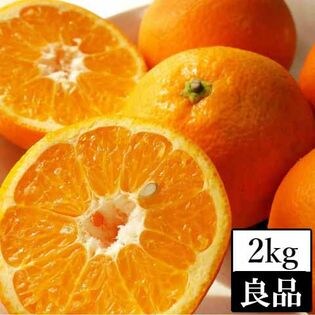 予約受付 1 29 順次出荷 約2kg 愛媛県産 伊予柑 いよかん 良品 を税込 送料込でお試し サンプル百貨店 フルーツショップサニー