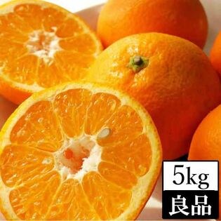 約5kg 愛媛県産 伊予柑 いよかん 良品 を税込 送料込でお試し サンプル百貨店 フルーツショップサニー