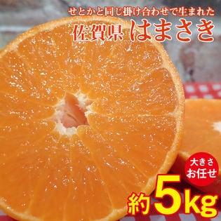 約5kg(サイズお任せ)】佐賀県産 はまさき(ご家庭用・傷あり)を税込