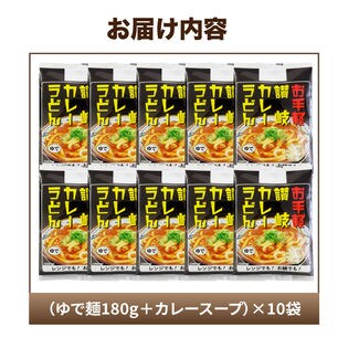 10食 レンジでチンする讃岐カレーうどんを税込 送料込でお試し サンプル百貨店 株式会社築地ばんや