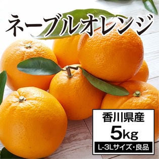 約5.0kg(L-3L)】香川県産 ネーブルオレンジ(良品)を税込・送料込でお ...