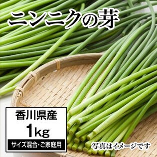 約1kg サイズ混合 ご家庭用 にんにくの芽 香川県産 新鮮採れたてニンニクの芽を税込 送料込でお試し サンプル百貨店 サンタの贈り物