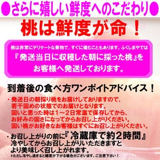 約1kg(3~5玉入)】献上桃の郷『桑折町の特秀品桃』を税込・送料込でお