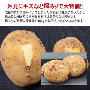 約10kg サイズお任せ 長崎県産 じゃがいも ご家庭用 傷あり を税込 送料込でお試し サンプル百貨店 くだもの観覧車