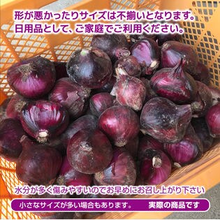 約5kg(サイズ混合・ご家庭用)】紫玉ねぎ 香川県産 色鮮やかで栄養 ...