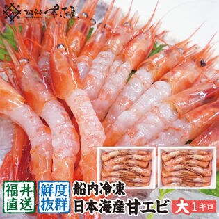 越前産 甘えび 【大サイズ】 1キロ（500g×2箱） 無添加 無着色 甘エビ