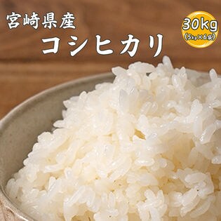 千葉県産コシヒカリ白米24㎏ - 米/穀物