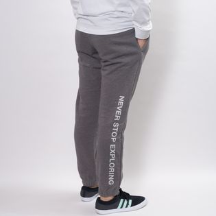 Lサイズ[THE NORTH FACE]ジョガーパンツ M BOX NSE JOGGER グレーを