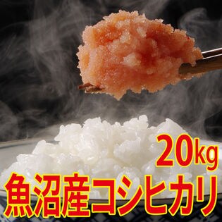 20kg (5kg×4袋)】令和4年産 魚沼十日町産コシヒカリを税込・送料込でお