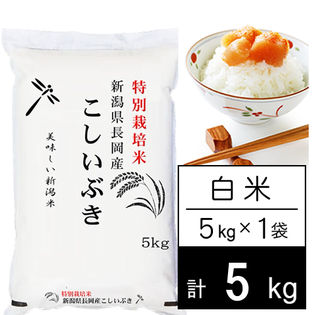 5kg/白米】特別栽培米 令和4年産 新潟県産 こしいぶき（5kg×1袋）を