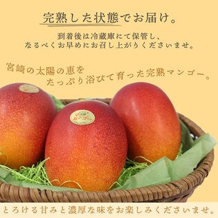 宮崎産〉2L2玉 完熟マンゴーを税込・送料込でお試し｜サンプル百貨店