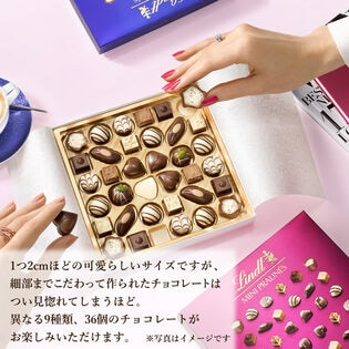 36粒入りBOX×4箱セット】リンツ ミニプラリネ チョコレート【冷蔵】を