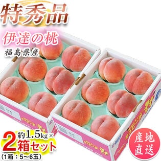 予約受付】8/6~順次出荷【大玉 約1.5kg×2箱 (1箱：5〜6玉】特秀品 福島