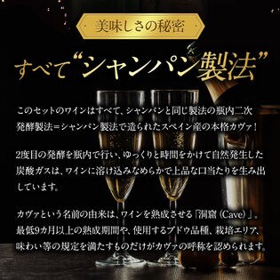 6種×各2本】シャンパン製法 のみ 辛口 スパークリングワイン 12本