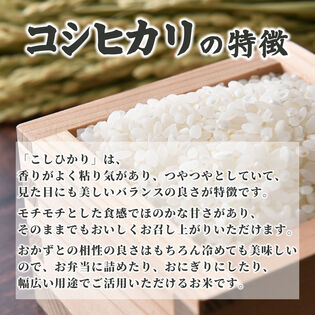 コシヒカリ新米20キロ - 米/穀物