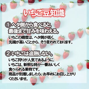 南国フルーツ｜【予約受付】11月下旬~ 順次出荷【福岡】24-30粒ギフト