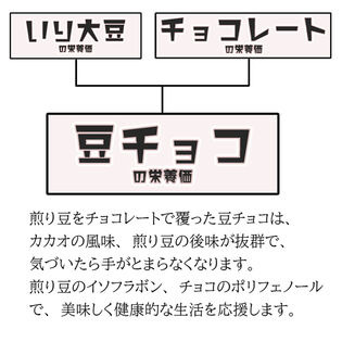 5kg(500g×10)】9種の煎豆ミックスチョコボール(チャック付き)を税込