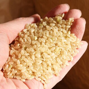 10kg】令和5年 山形県産 ササニシキ （玄米）を税込・送料込でお試し