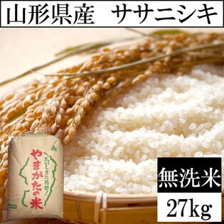 27kg】令和5年産 山形県産 ササニシキ 無洗米 当日精米を税込・送料込