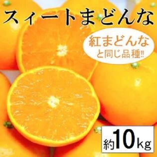 愛媛県産 愛果28号 柑橘 10kg xxtraarmor.com