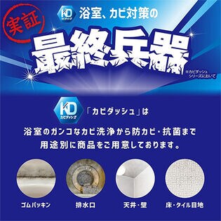 日本カビダッシュ特濃ストロングジェル2本組を税込・送料込でお試し